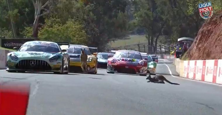 Kangaroos on the track and massive crashes at Bathurst 12 Hour qualifying!
