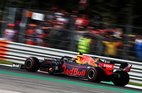 Manager Verstappen: There's no role for Jos and me there.