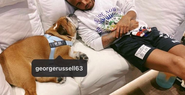 Hamilton accidentally tags Russell as his dog on Instagram