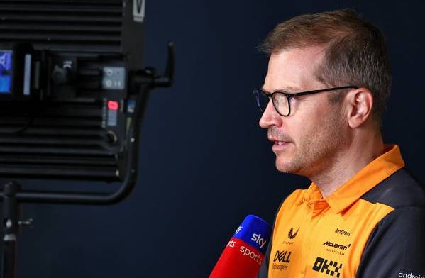Seidl ve un reto compartido tras confirmar que Ricciardo dejará McLaren