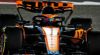 McLarens farhågor: "Vi går i det första loppet utan våra mål"